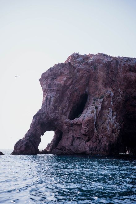 Foto de ✨ BERLENGA ISLAND SUNSET EXPERIENCE ✨